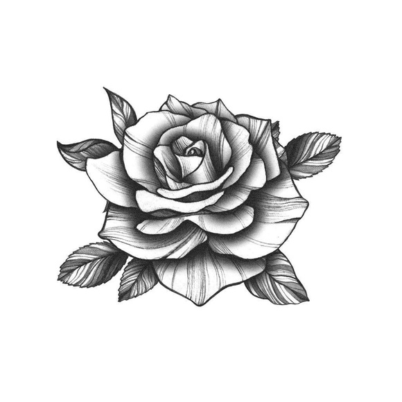 daisy_001